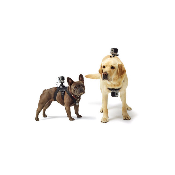 Кріплення-упряжка для собак GoPro Fetch Dog Harness ADOGM-001
